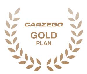 Gold Plan Logo